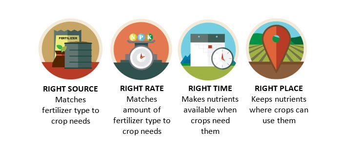 4Rs in Agronomy - Right Source - Right Rate - Right Time - and Right Place
