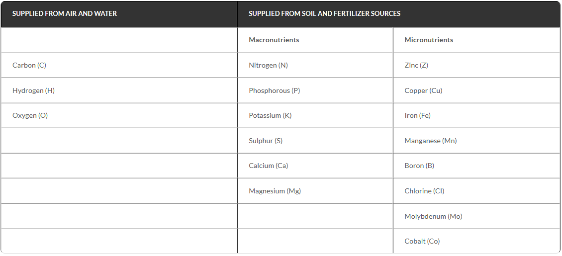 Table of the 17 Essential Elements for Optimum Plant Growth and Yield