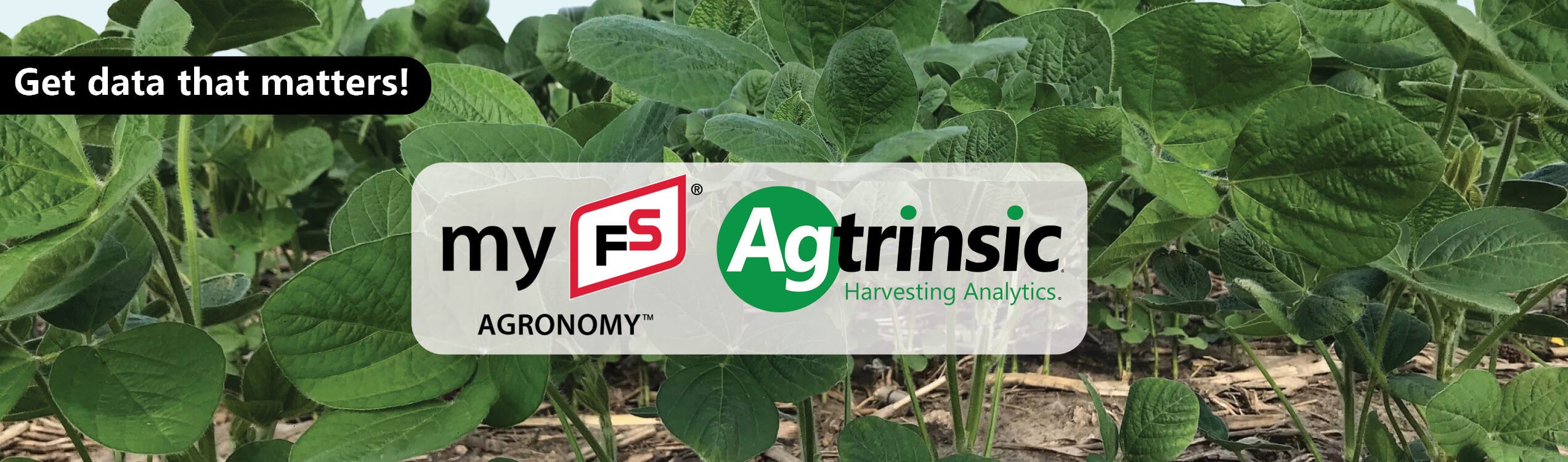myFS-Agronomy-Agtrinsic