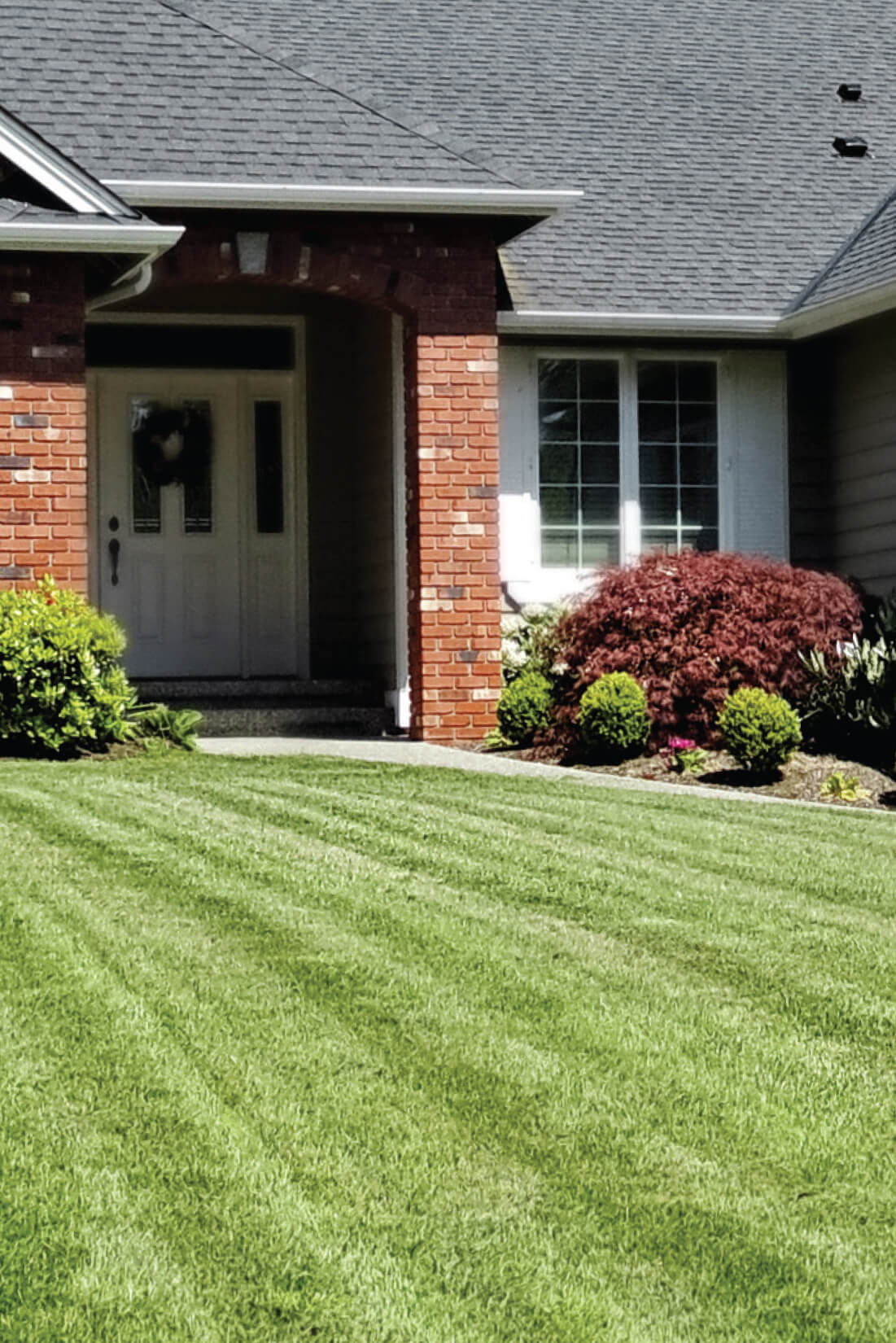 Image of a House and Lawn