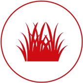 Turf logo